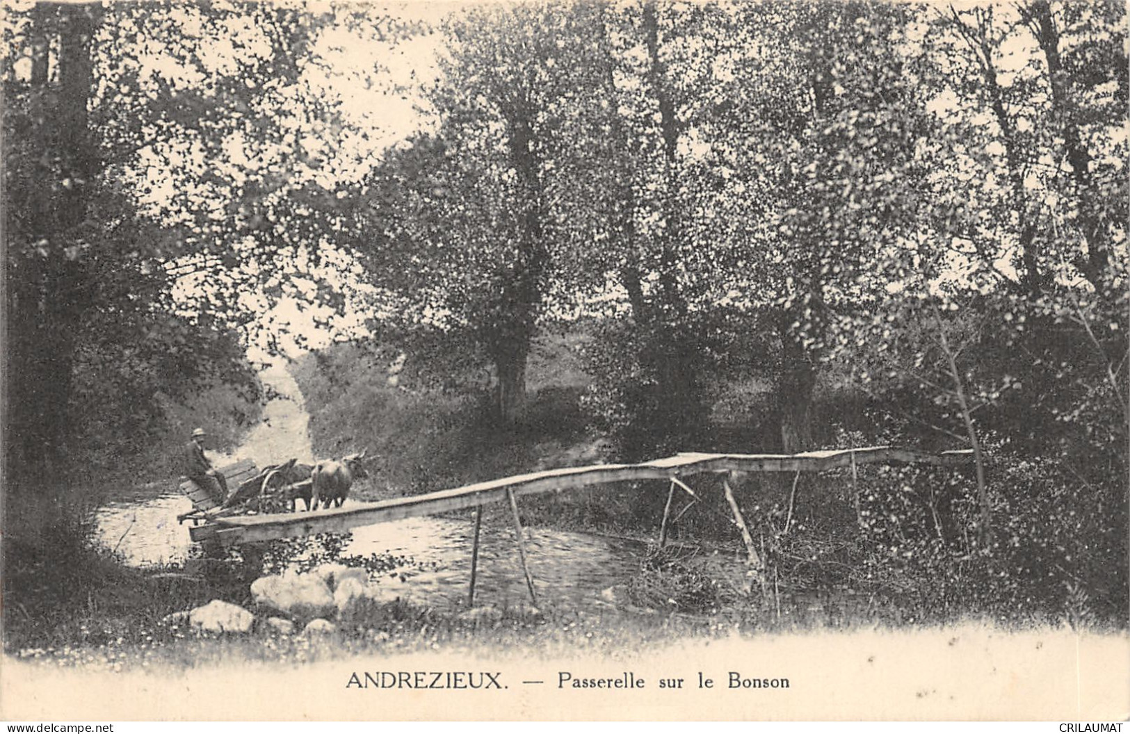 42-ANDREZIEUX-PASSERELLE SUR LE BONSON-N T6022-B/0175 - Andrézieux-Bouthéon