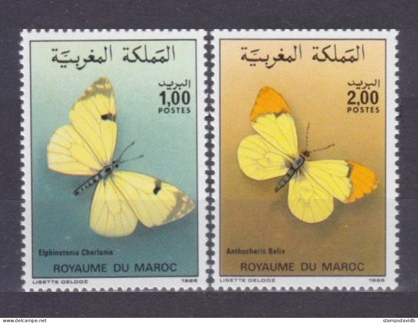 1986 Morocco 1104-1105 Butterflies 5,50 € - Schmetterlinge