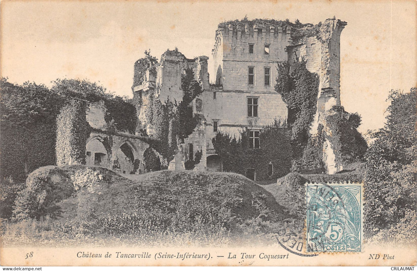 76-TANCARVILLE-LE CHÂTEAU-TOUR COQUESART-N°6024-D/0139 - Tancarville