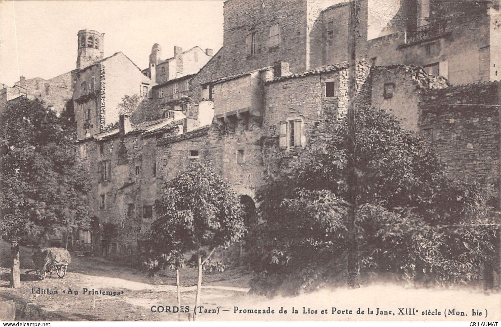 81-CORDES-PROMENADE DE LALICE-N°6025-B/0093 - Cordes