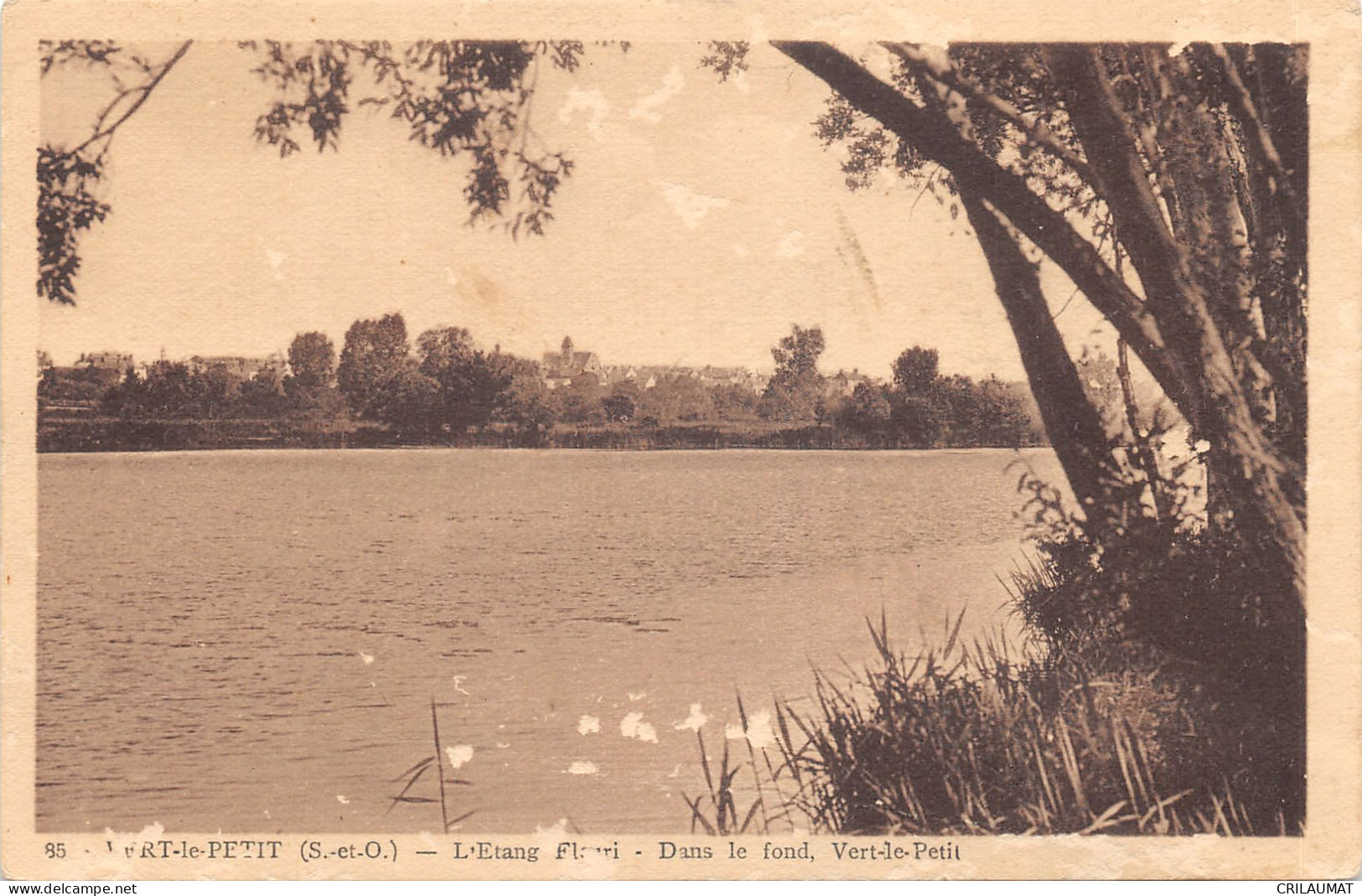 91-VERT LE PETIT-L ETANG FLEURY-N°6025-E/0123 - Vert-le-Petit