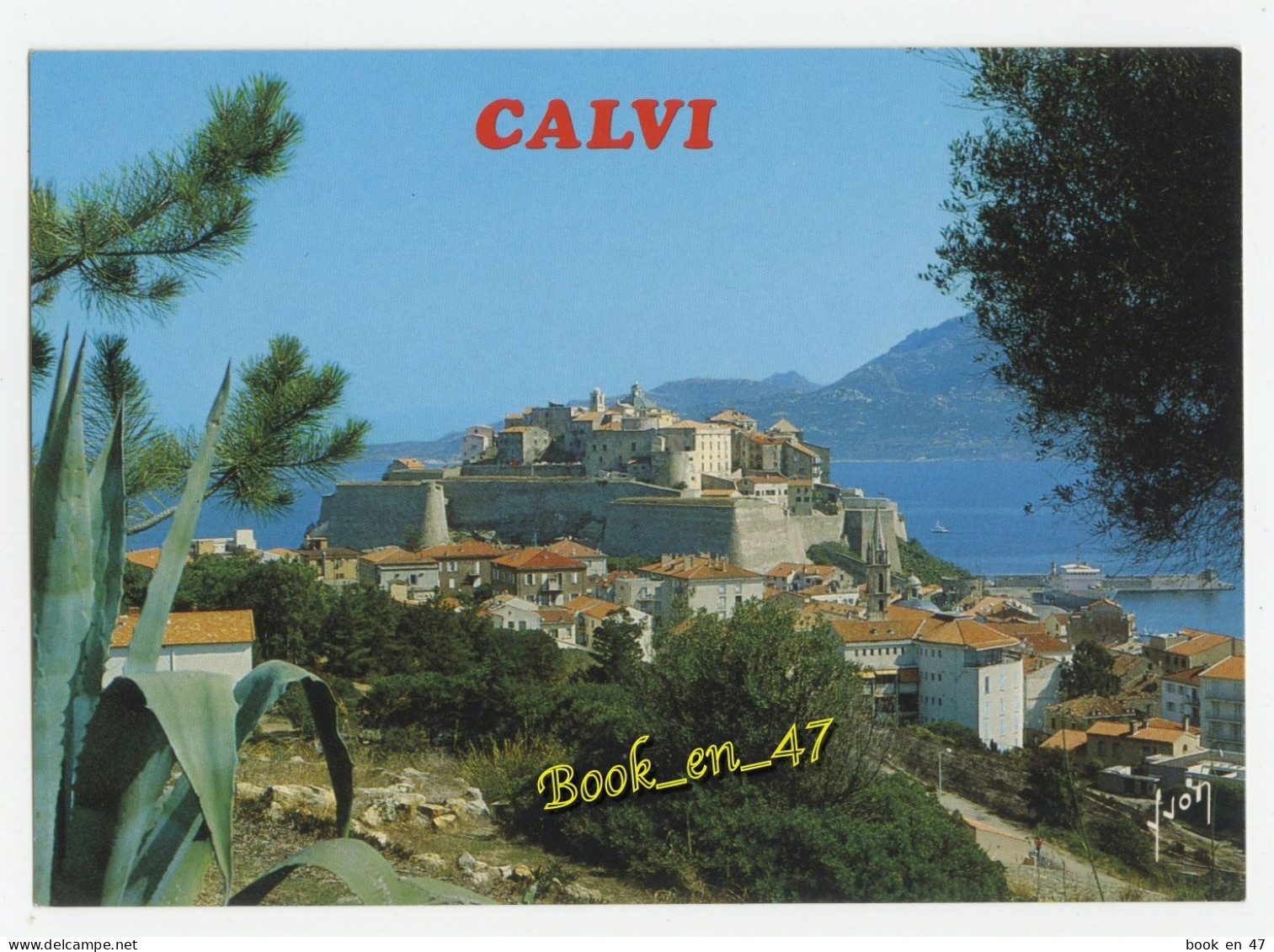 {91695} 20 2B Haute Corse Calvi , La Citadelle Dominant Majestueusement Le Port Et La Ville Nouvelle - Calvi