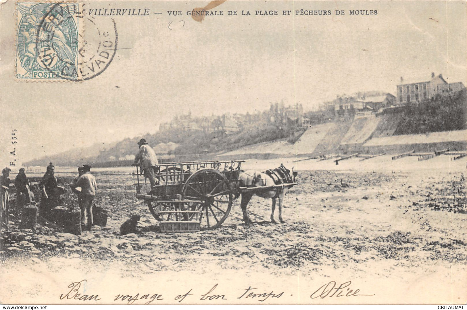 14-VILLERVILLE-PECHEURS DE MOULES-N°6027-D/0333 - Villerville