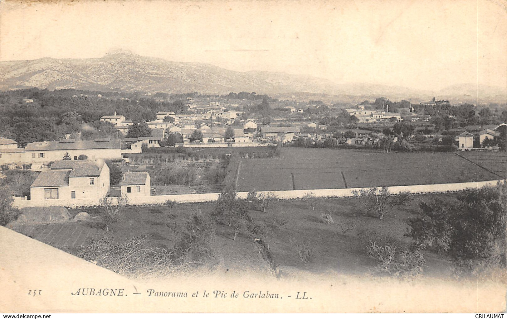 13-AUBAGNE-PANORAMA-N°6027-D/0133 - Aubagne