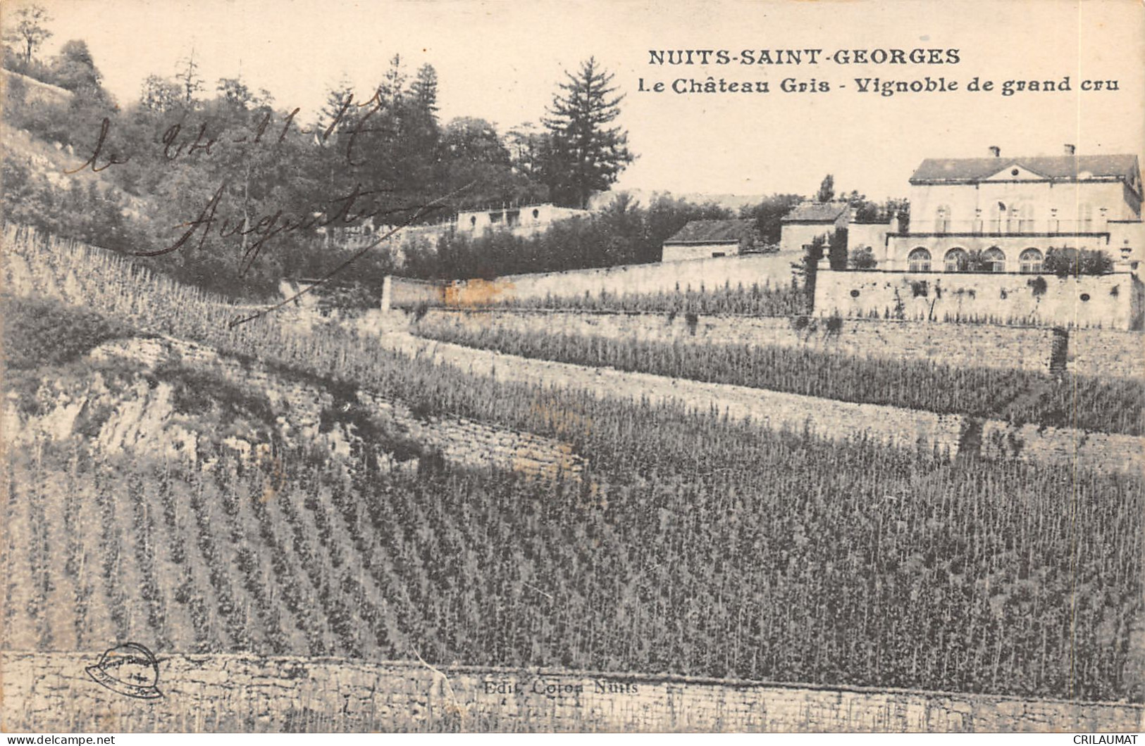 21-NUITS SAINT GEORGES-LE CHATEAU GRIS-N°6027-H/0309 - Nuits Saint Georges
