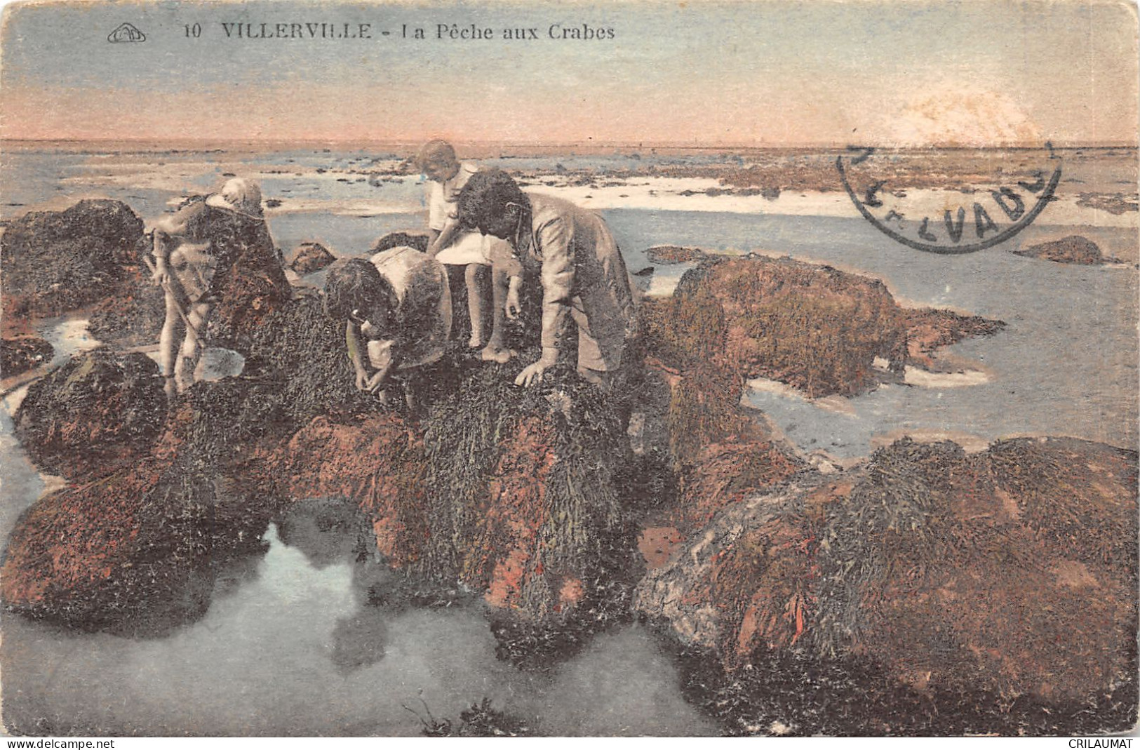 14-VILLERVILLE SUR MER-LA PECHE AUX CRABES-N°6027-F/0113 - Villerville