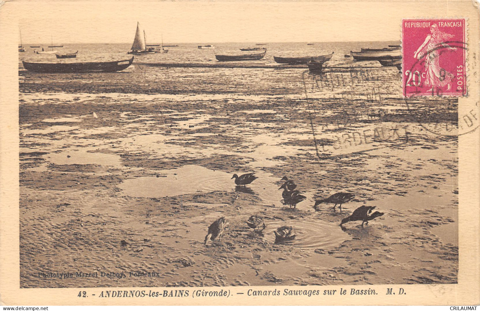 33-ANDERNOS LES BAINS-LA PLAGE-CANARDS SAUVAGES-N°6028-E/0223 - Andernos-les-Bains