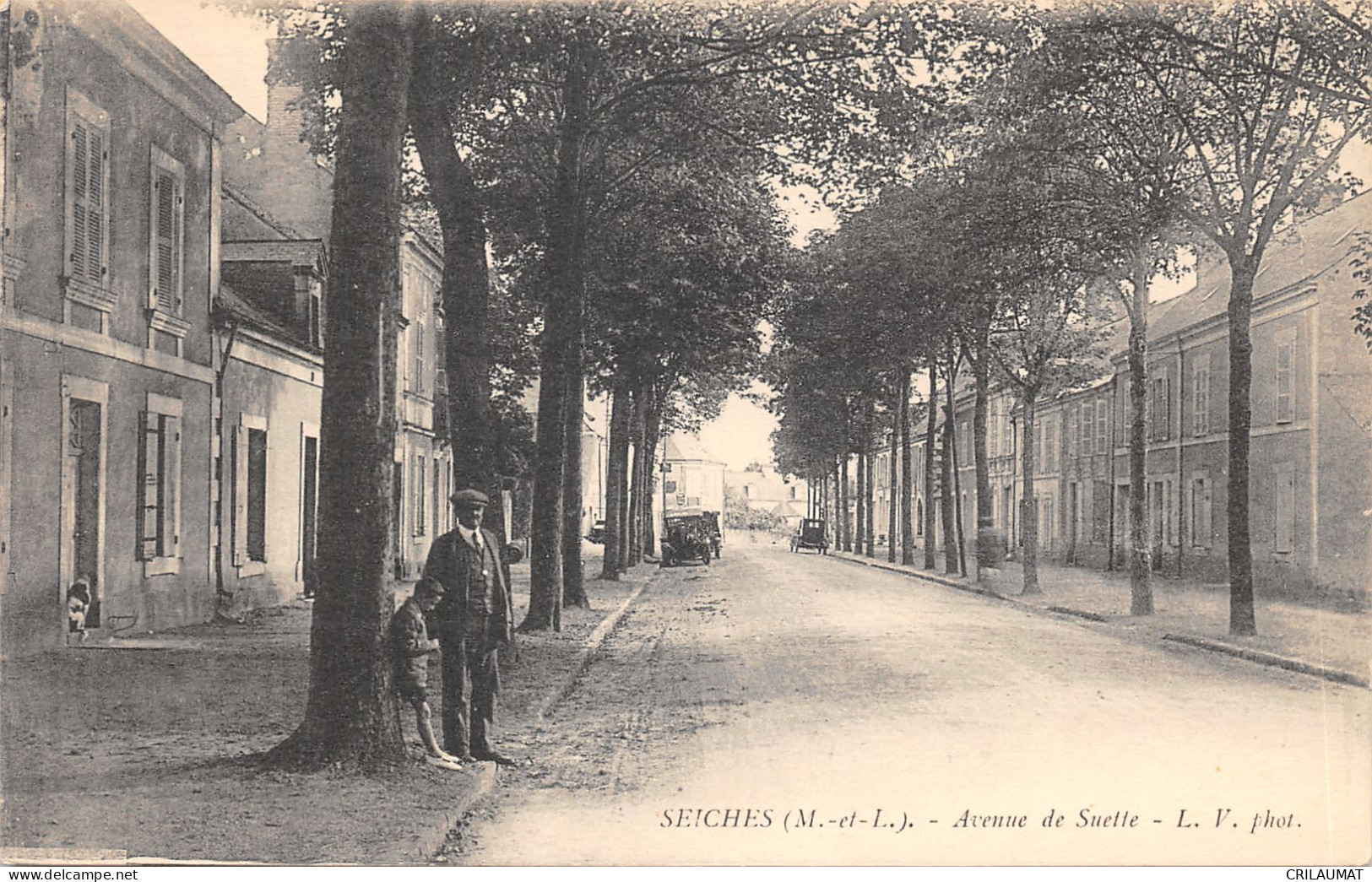 49-SEICHES-AVENUE DE SUETTE-N°6029-B/0383 - Seiches Sur Le Loir