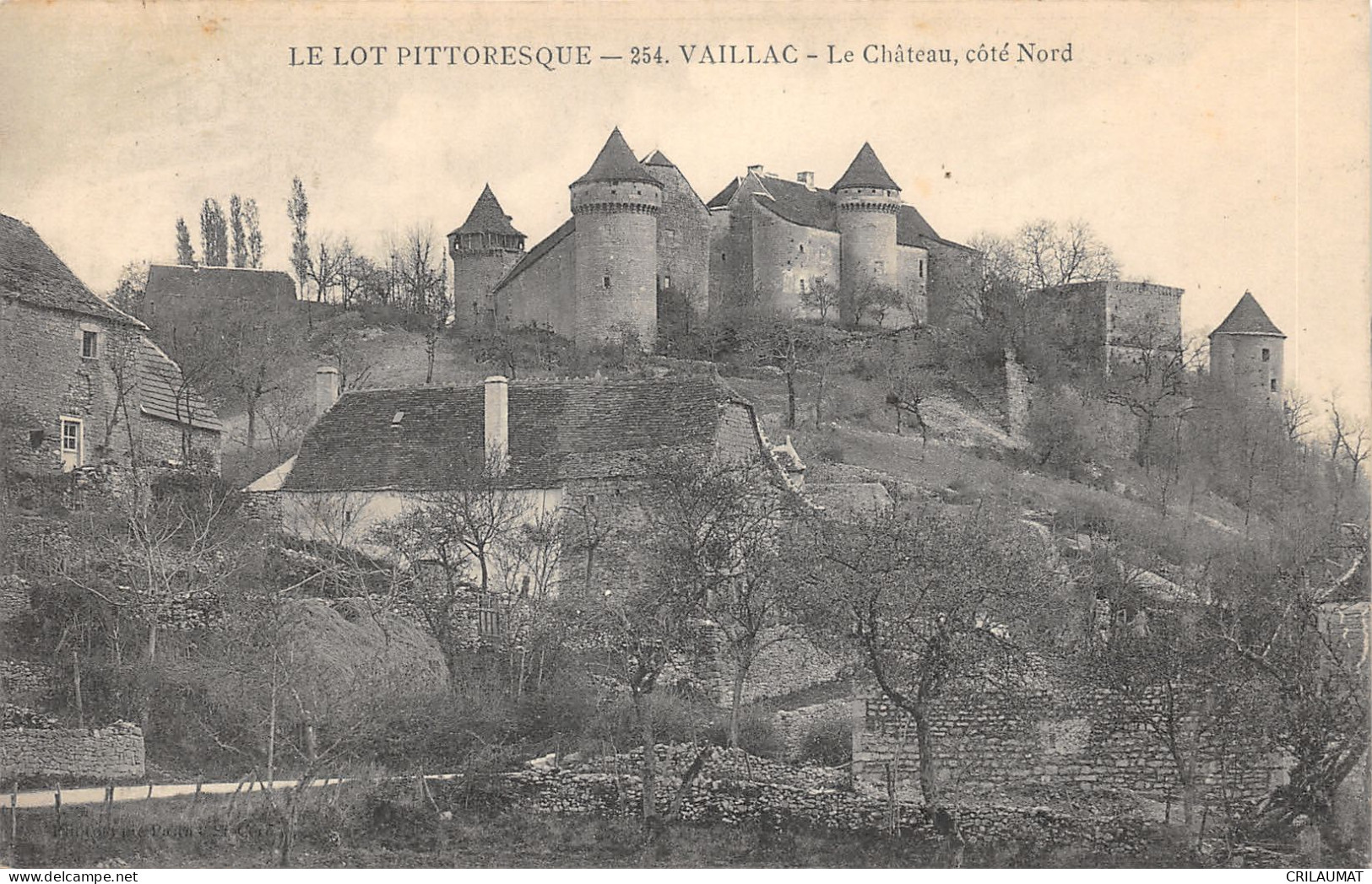 46-VAILLAC-LE CHATEAU-N°6029-B/0175 - Other & Unclassified