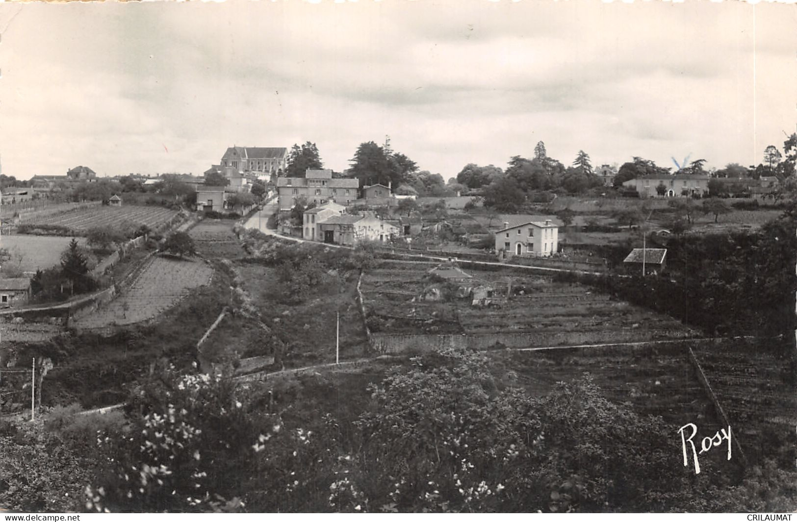 44-BOUSSAY-PANORAMA-N°6029-A/0081 - Boussay