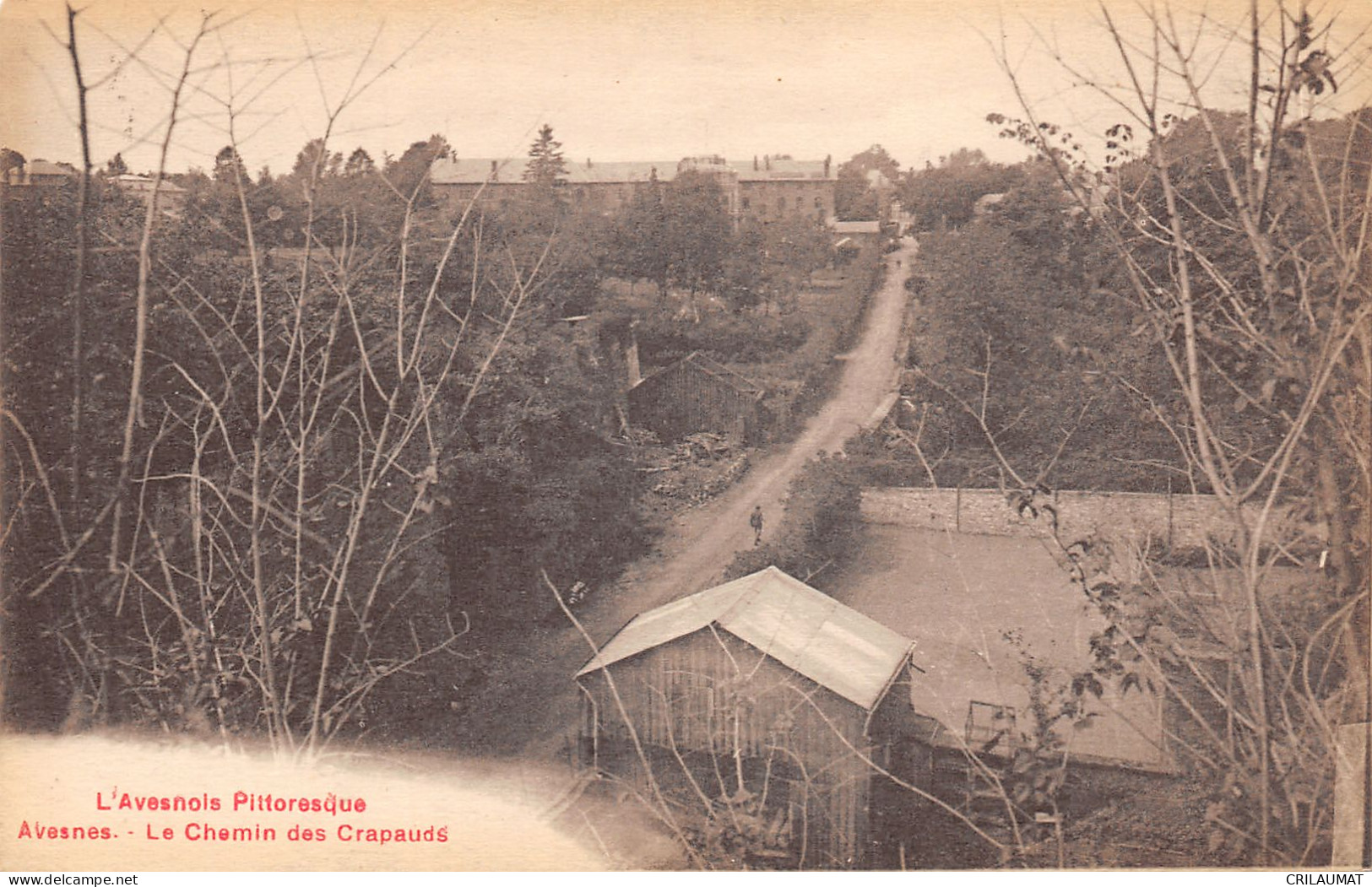 59-AVESNES-LE CHAMIN DES CRAPAUDS-N°6029-G/0187 - Avesnes Sur Helpe