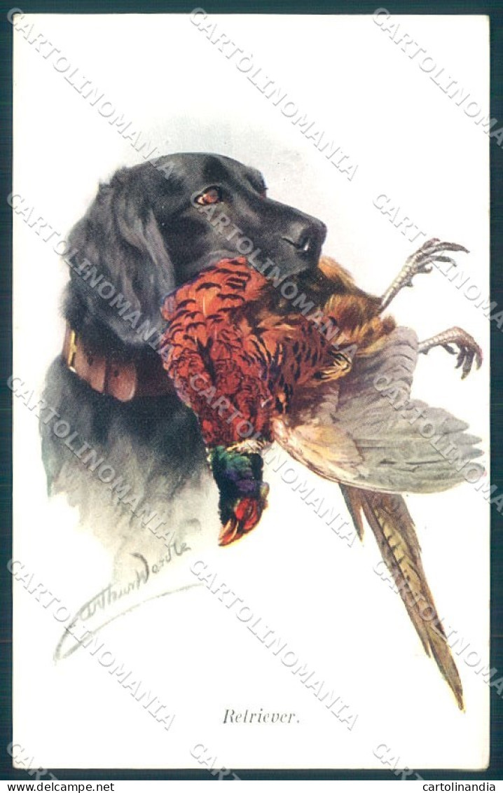 Animals Arthur Wardle Dog Retriever Hunting Pheasant Serie 42461 Postcard TW1353 - Andere & Zonder Classificatie