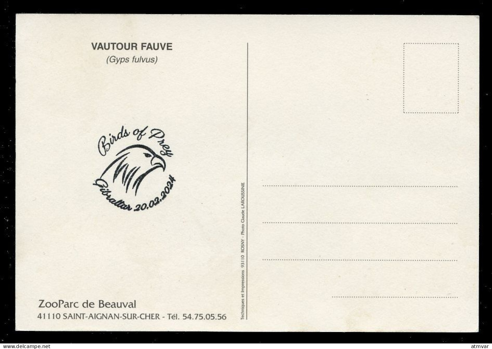 GIBRALTAR (2024) Carte Maximum Card - Birds Of Prey - Griffon Vulture, Gyps Fulvus, Vautour Fauve, Gänsegeier, Buitre - Gibraltar