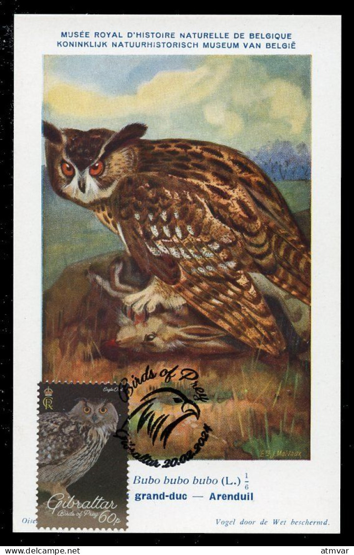 GIBRALTAR (2024) Carte Maximum Card - Birds Of Prey - Eagle Owl, Bubo Bubo, Hibou Grand-duc, Uhu, Búho Real - Gibilterra