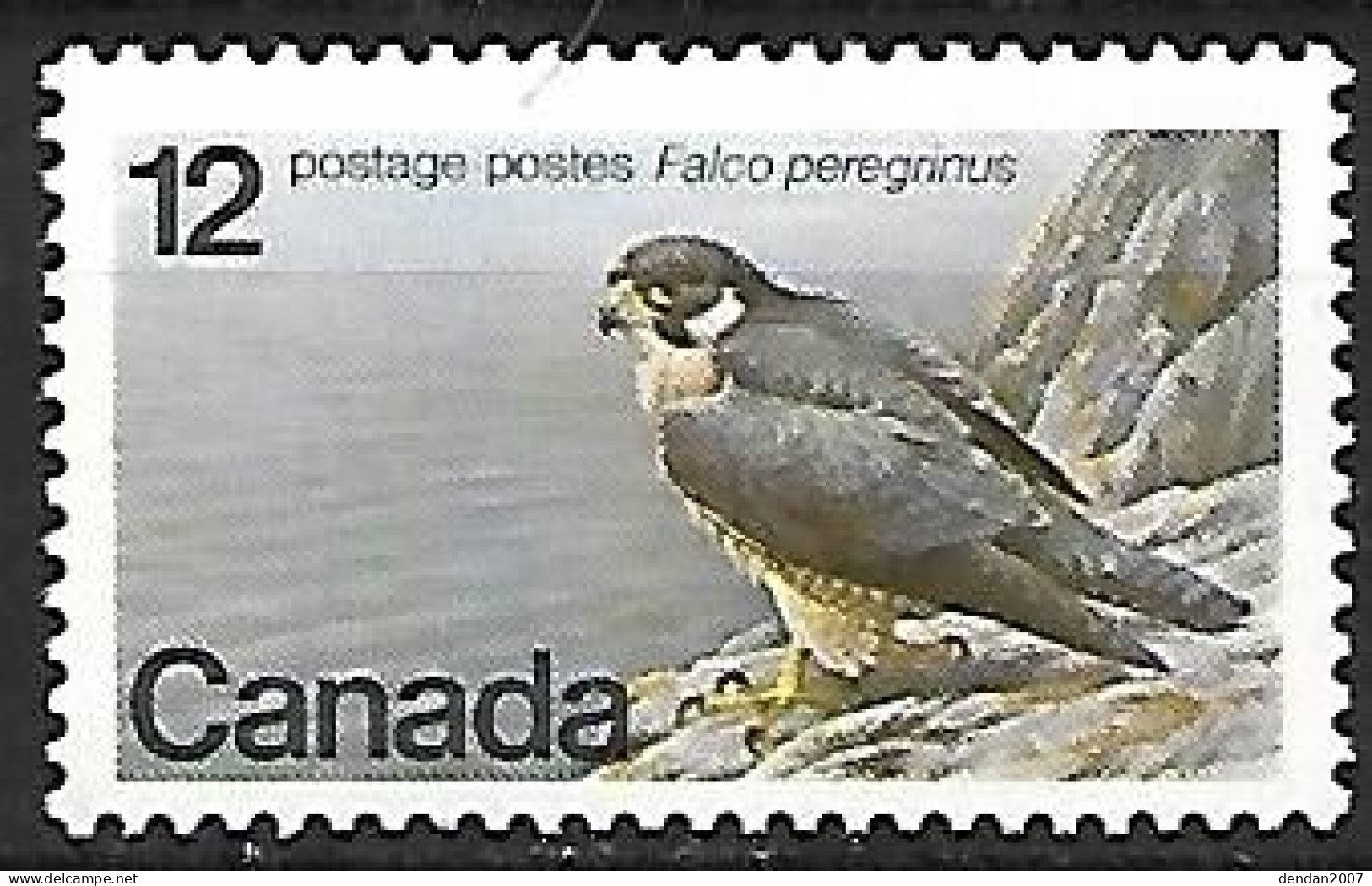 Canada - MNH ** 1978 :  Peregrine Falcon   - Falco Peregrinus - Eagles & Birds Of Prey