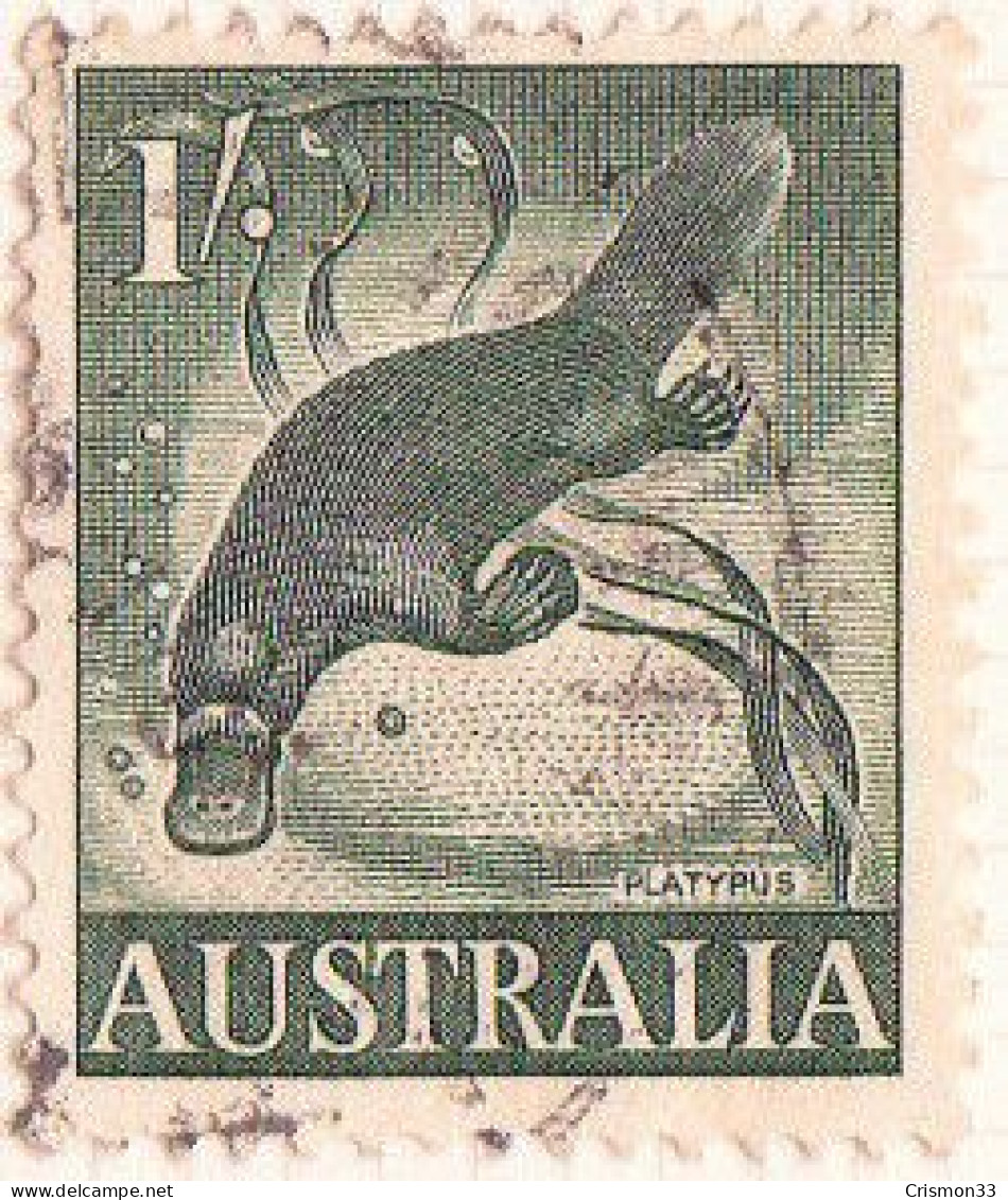1959 - AUSTRALIA - FAUNA - ORNITORRINCO - YVERT 255 - Andere & Zonder Classificatie
