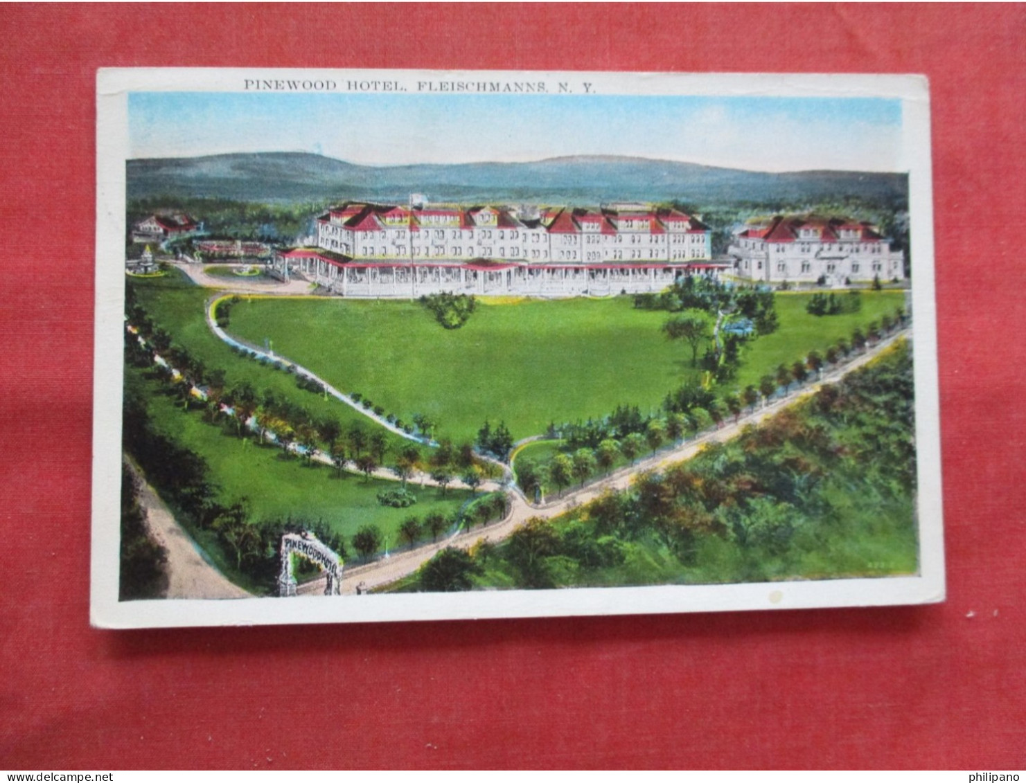 Landis Publisher.  Pinewood Hotel  Fleischmanns  New York  Ref 6386 - Other & Unclassified