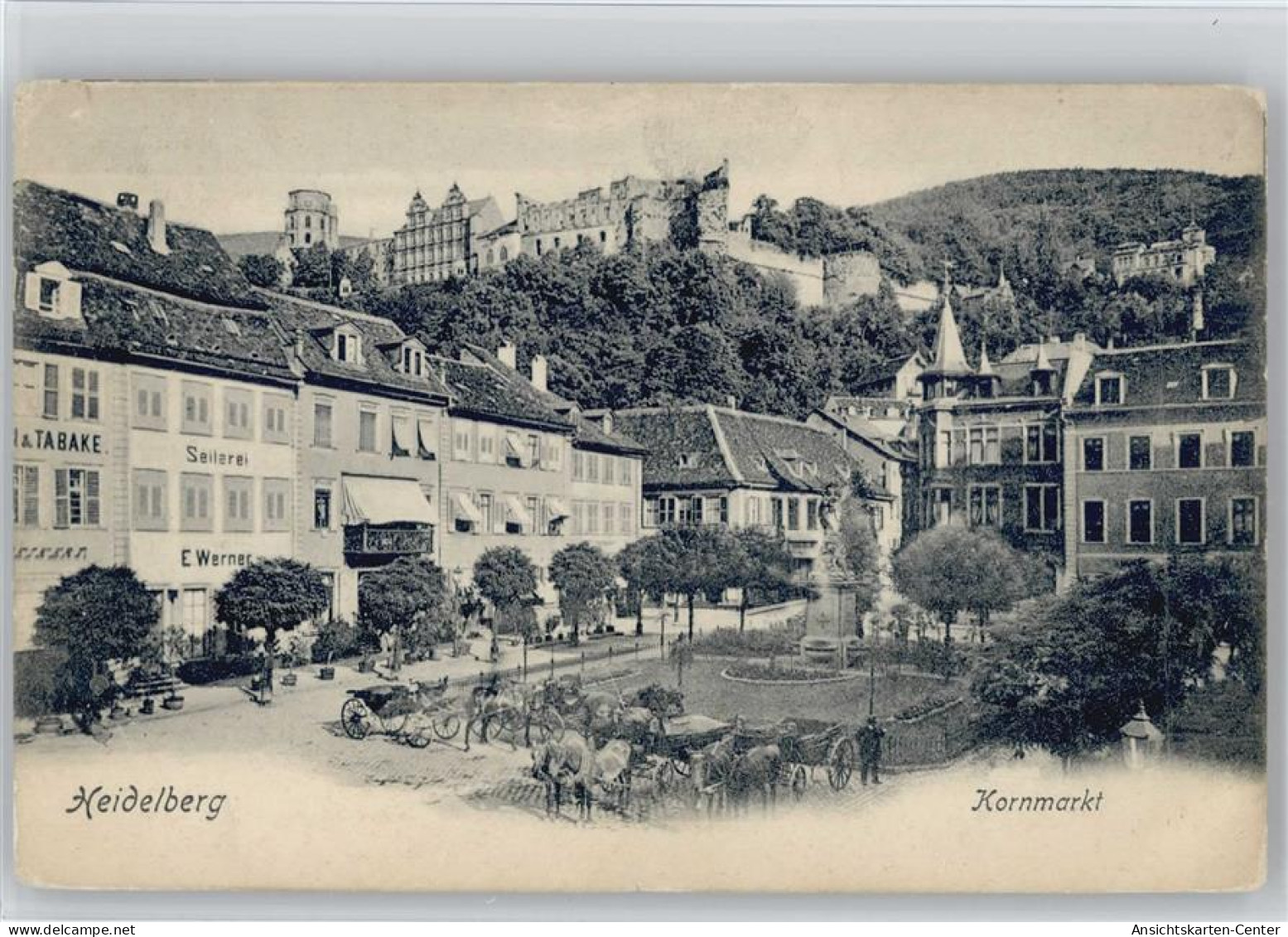11003904 - Heidelberg , Neckar - Heidelberg