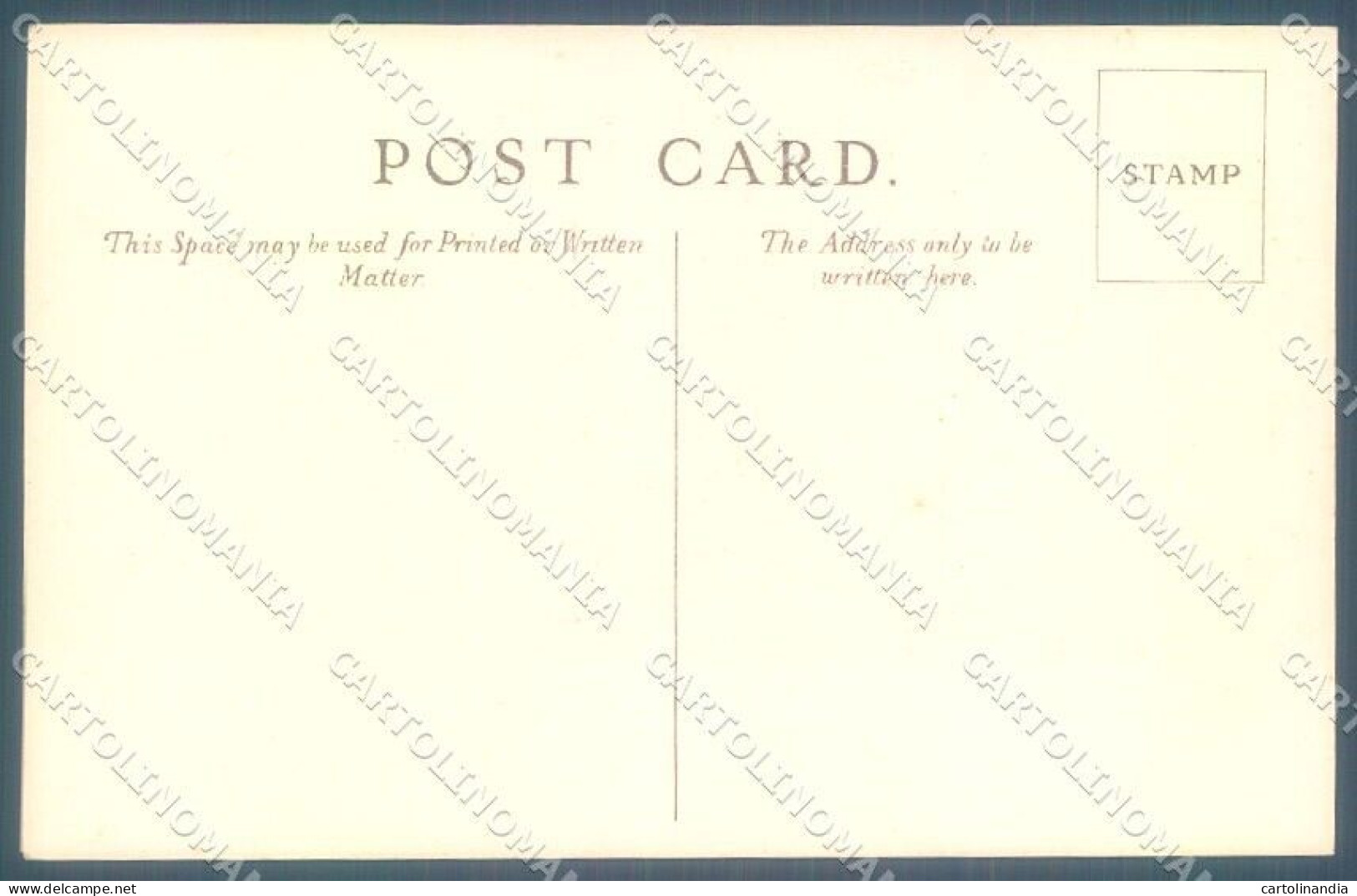 Animals Dog Dalmatian British Museum Waterlow B 84 Cartolina Postcard TW1252 - Andere & Zonder Classificatie