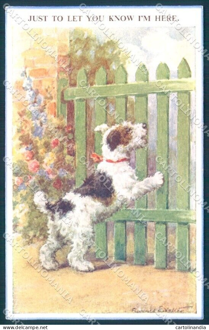 Animals Florence Valter Dog Cairn Terrier ? Valentines 4268 Postcard TW1238 - Andere & Zonder Classificatie