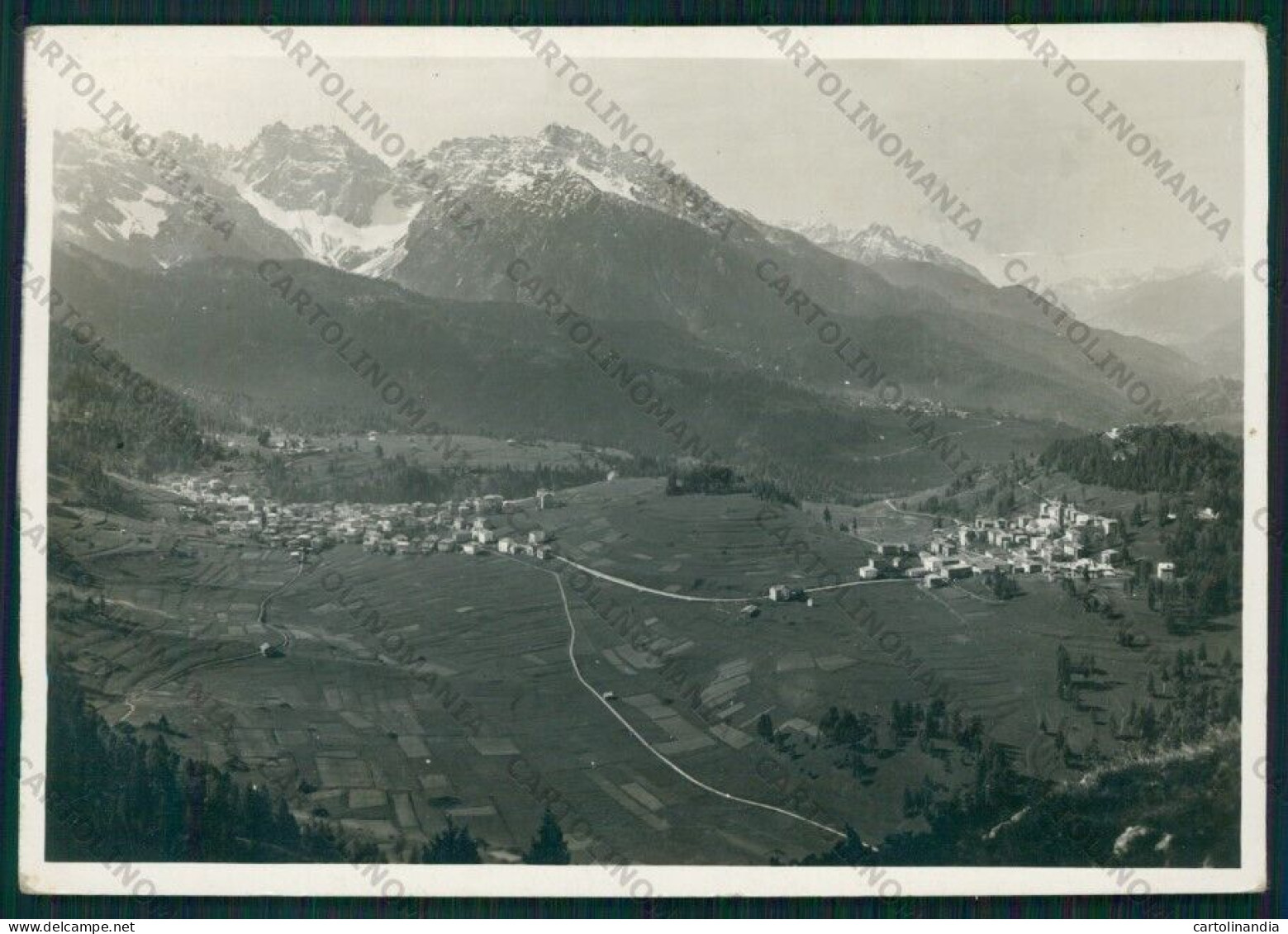 Belluno Vigo Laggio Di Cadore Foto FG Cartolina VK3196 - Belluno