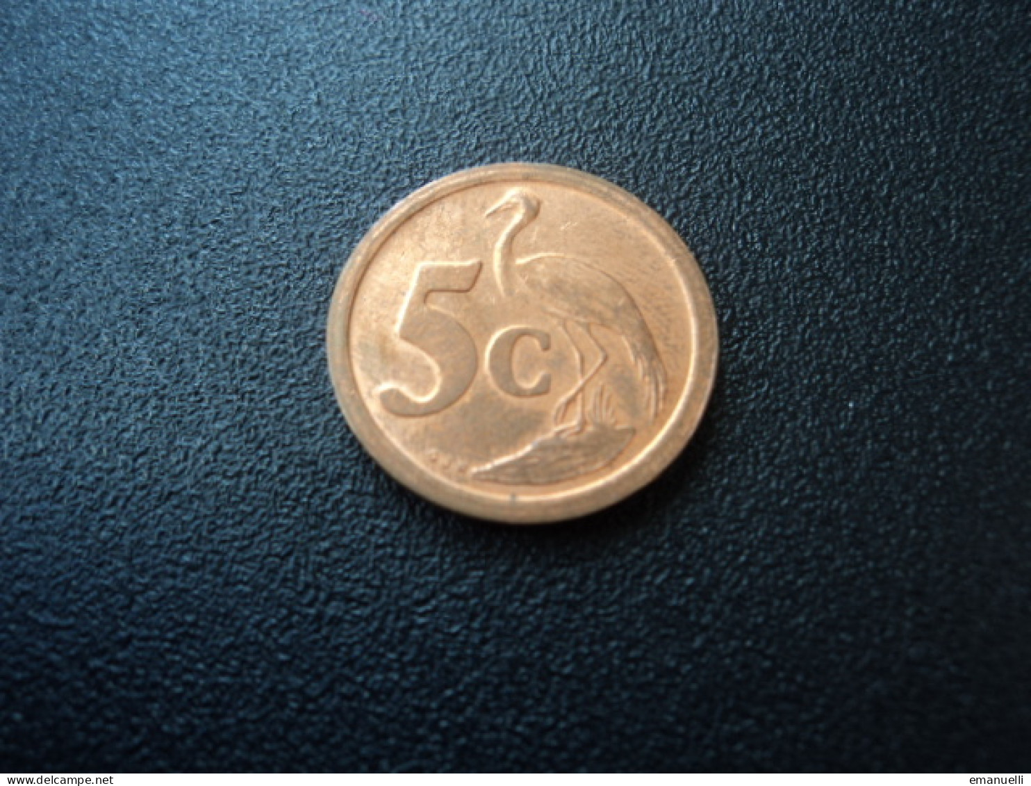 AFRIQUE DU SUD * : 5 CENTS  1992   KM 134     SUP ** - South Africa