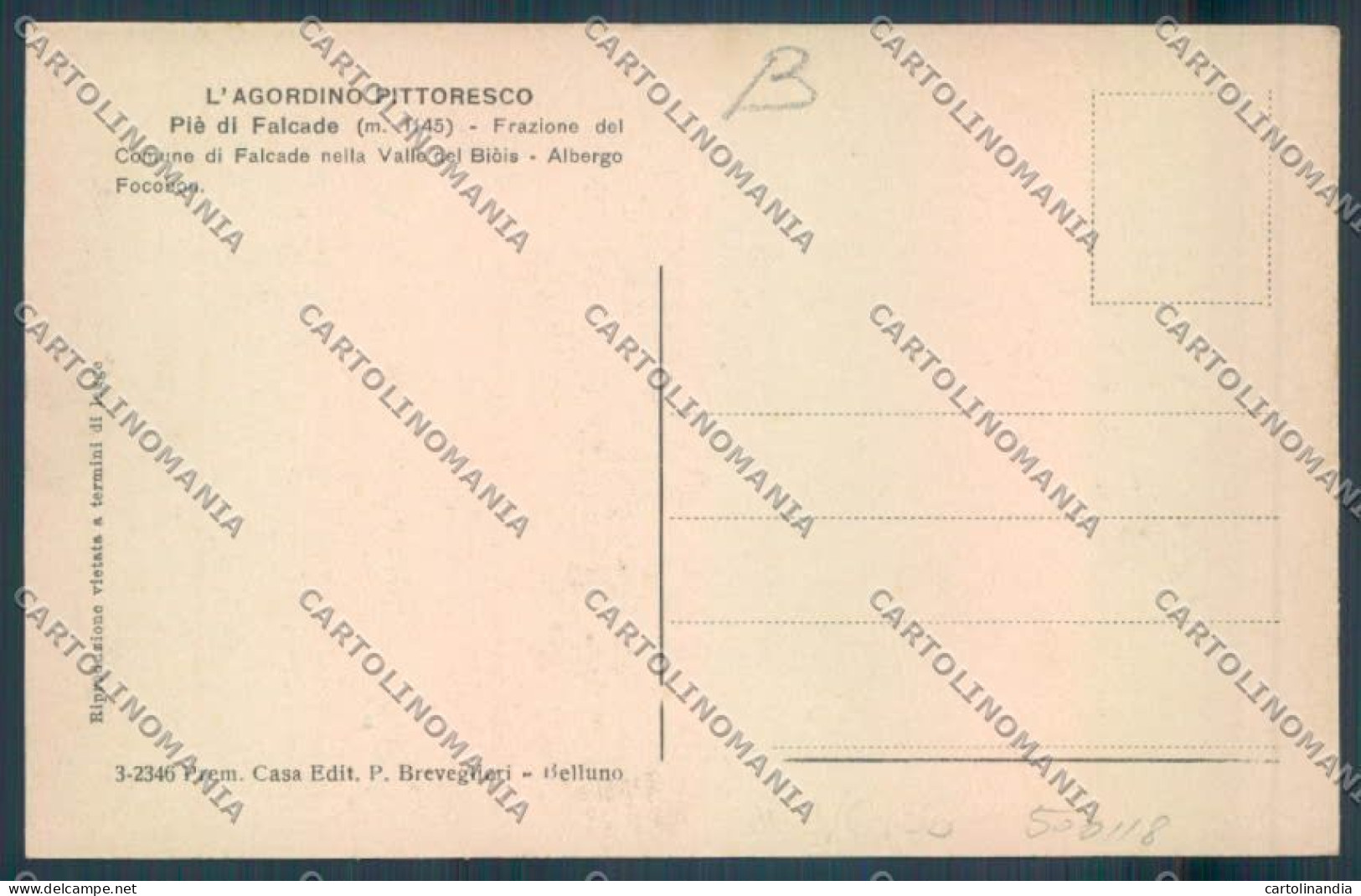 Belluno Piè Di Falcadecartolina RB5145 - Belluno
