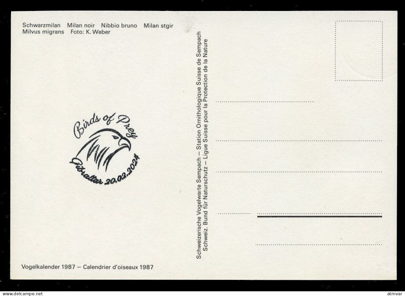 GIBRALTAR (2024) Carte Maximum Card - Birds Of Prey - Black Kite, Milvus Migrans, Milan Noir, Schwarze Milan, Milano - Gibilterra