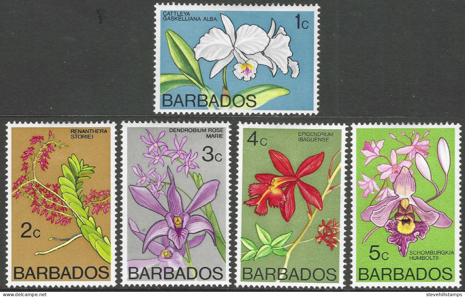 Barbados. 1974 Orchids. 5 MH Values To  5c. SG 510etc. M4100 - Barbados (1966-...)