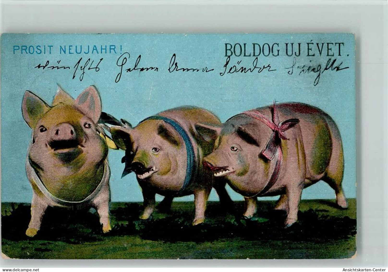12096004 - Schweine Neujahr - Drei Schweine Mit Einer - Pigs