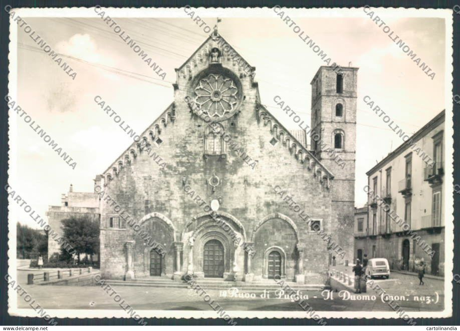 Bari Ruvo Di Puglia Foto FG Cartolina ZF8137 - Bari