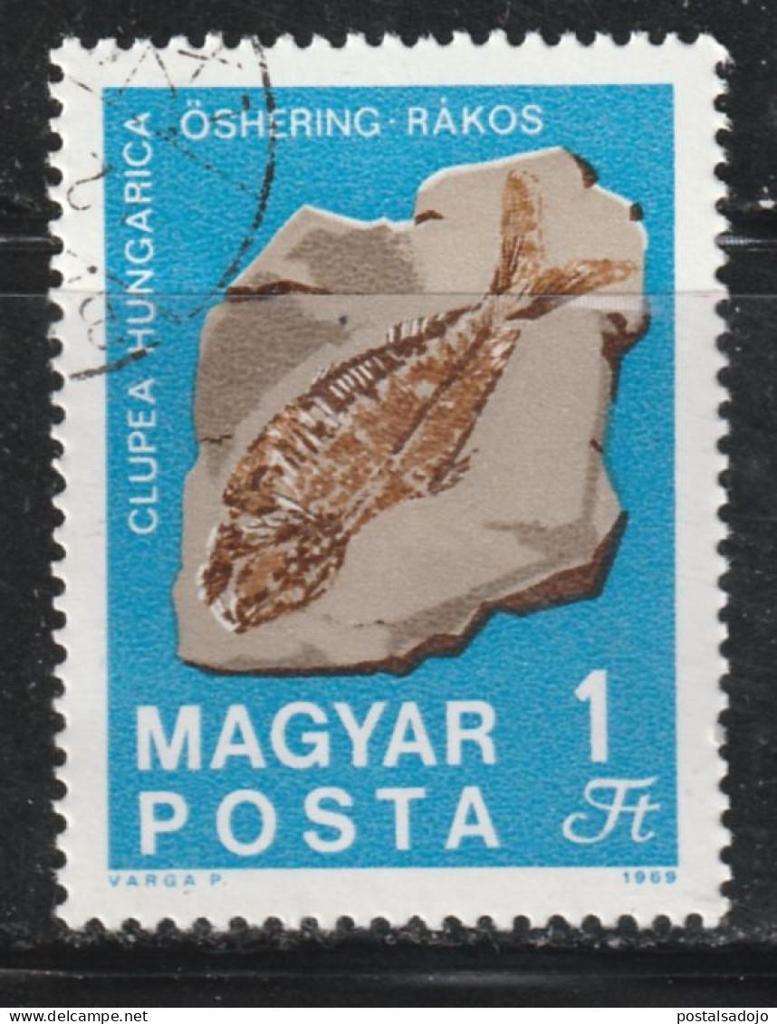 HONGRIE 797 // YVERT 2058  // 1969 - Used Stamps