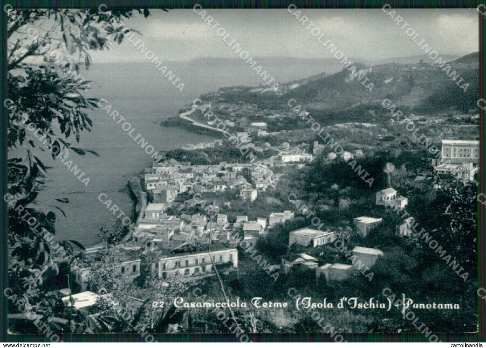 Napoli Ischia Casamicciola Foto FG Cartolina ZK6620 - Napoli (Naples)