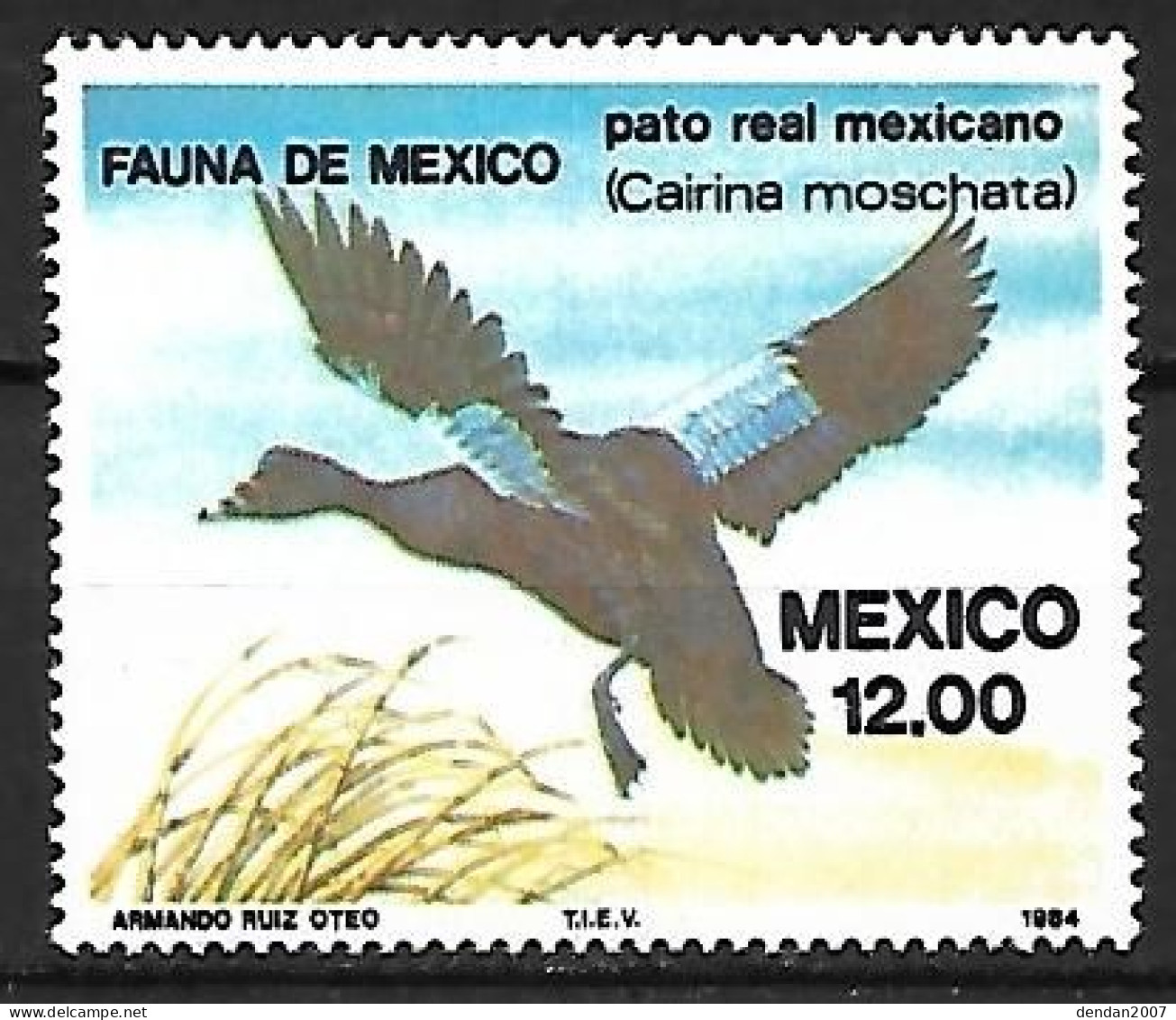 Mexico - MNH ** 1984 Complete Set 2/2 : Muscovy Duck  -  Cairina Moschata +  Black-bellied Whistling Duck - Ducks