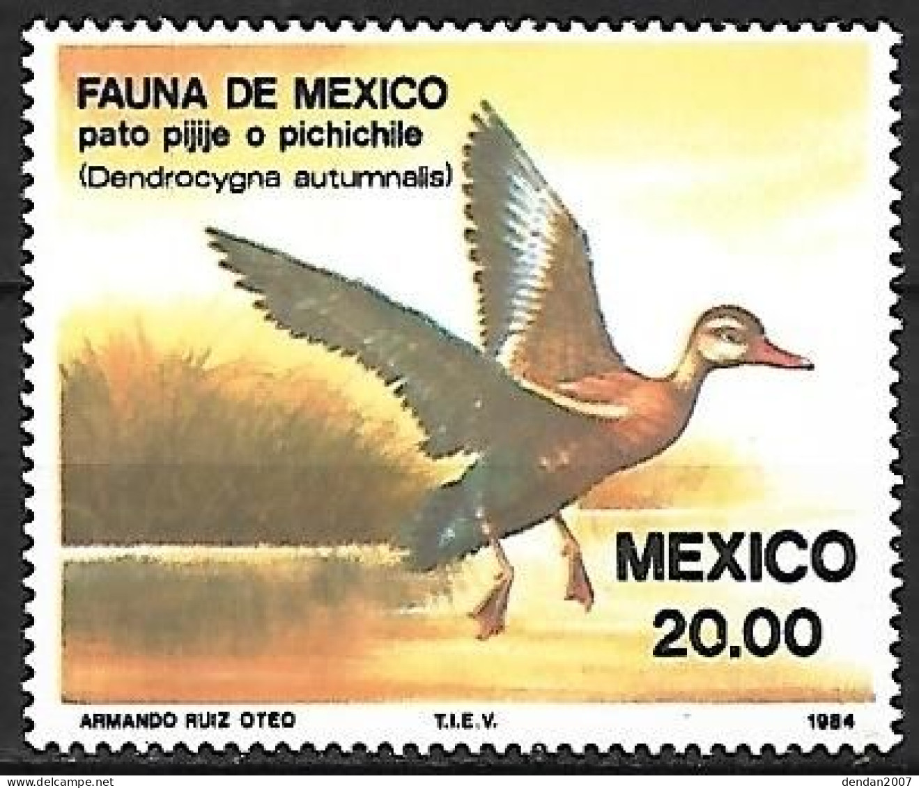 Mexico - MNH ** 1984 Complete Set 2/2 : Muscovy Duck  -  Cairina Moschata +  Black-bellied Whistling Duck - Eenden