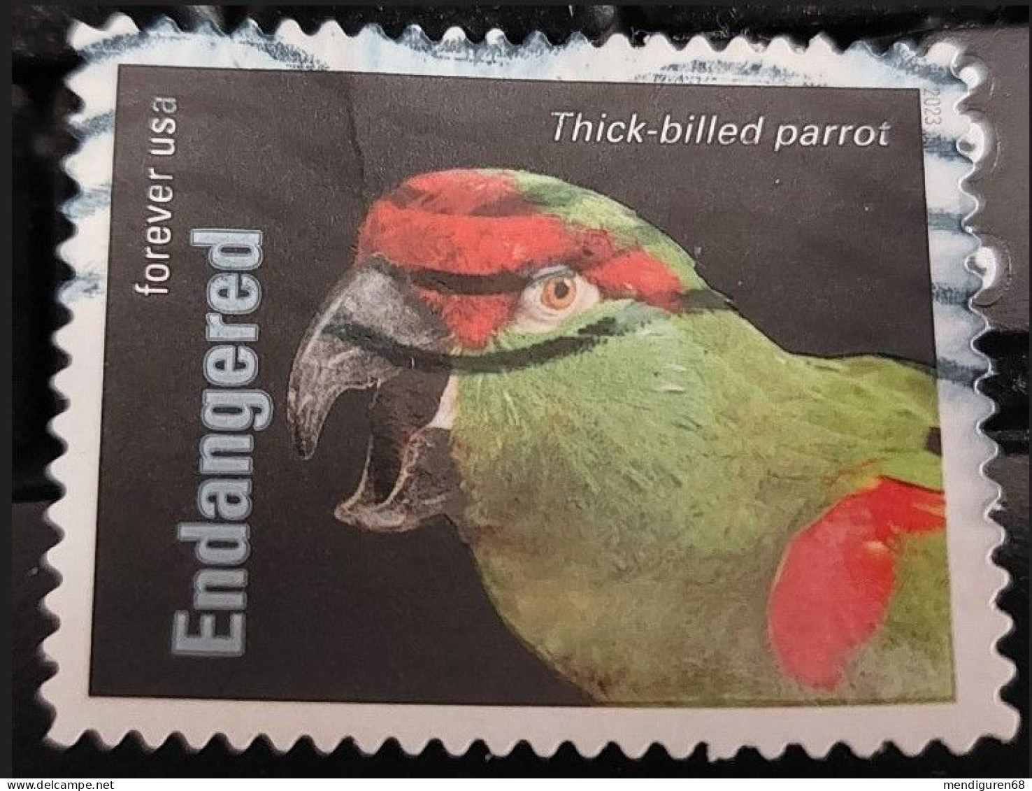 VEREINIGTE STAATEN ETATS UNIS USA 2023 ENDANGERED SPECIES: THICK-BILLED PARROT F USED SN 5799D - Gebruikt