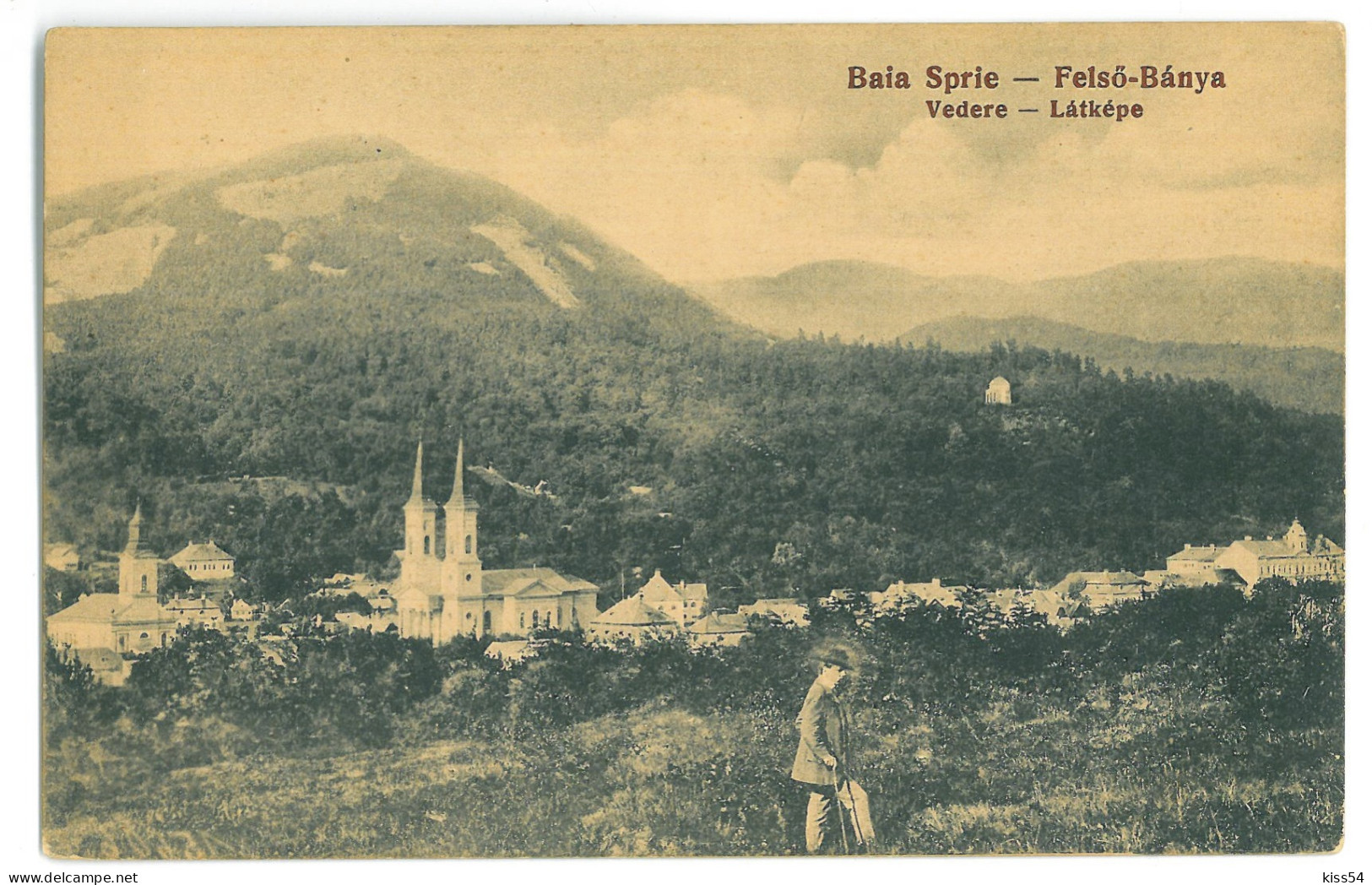 RO 45 - 24314 BAIA SPRIE, Maramures, Panorama, Romania - Old Postcard - Unused - Roemenië