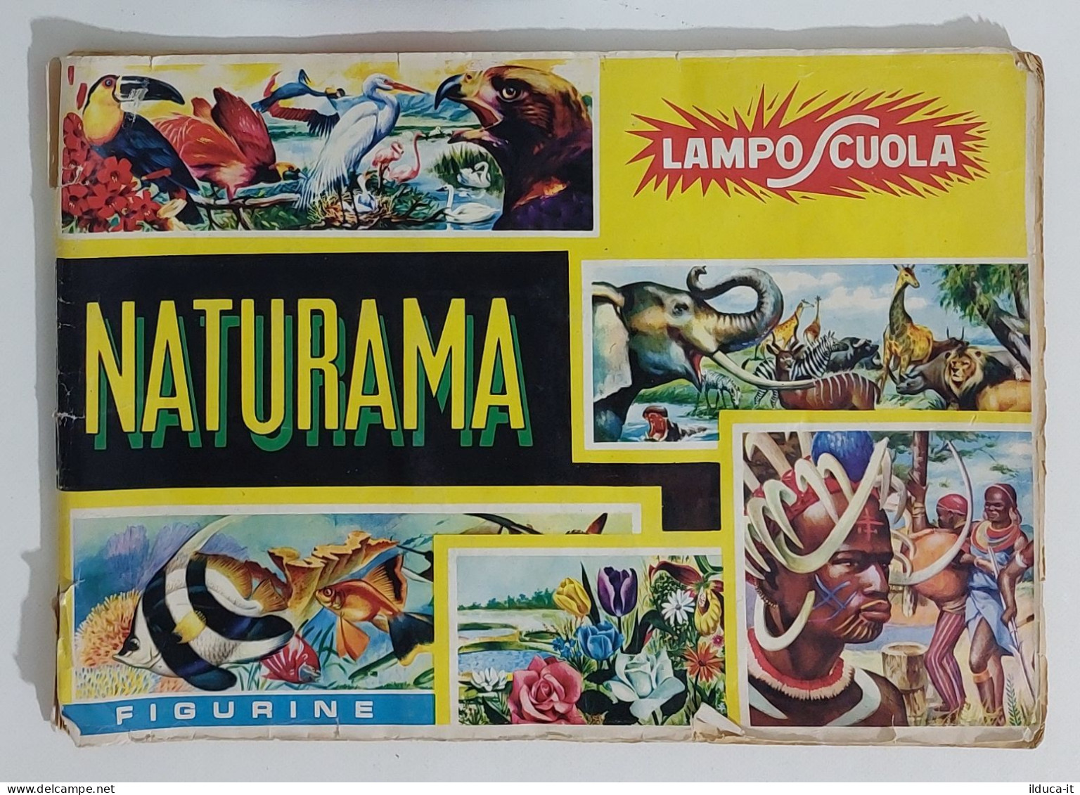 42383 Album Figurine Lampo Scuola - Naturama - Fig 160/380 - Otros & Sin Clasificación