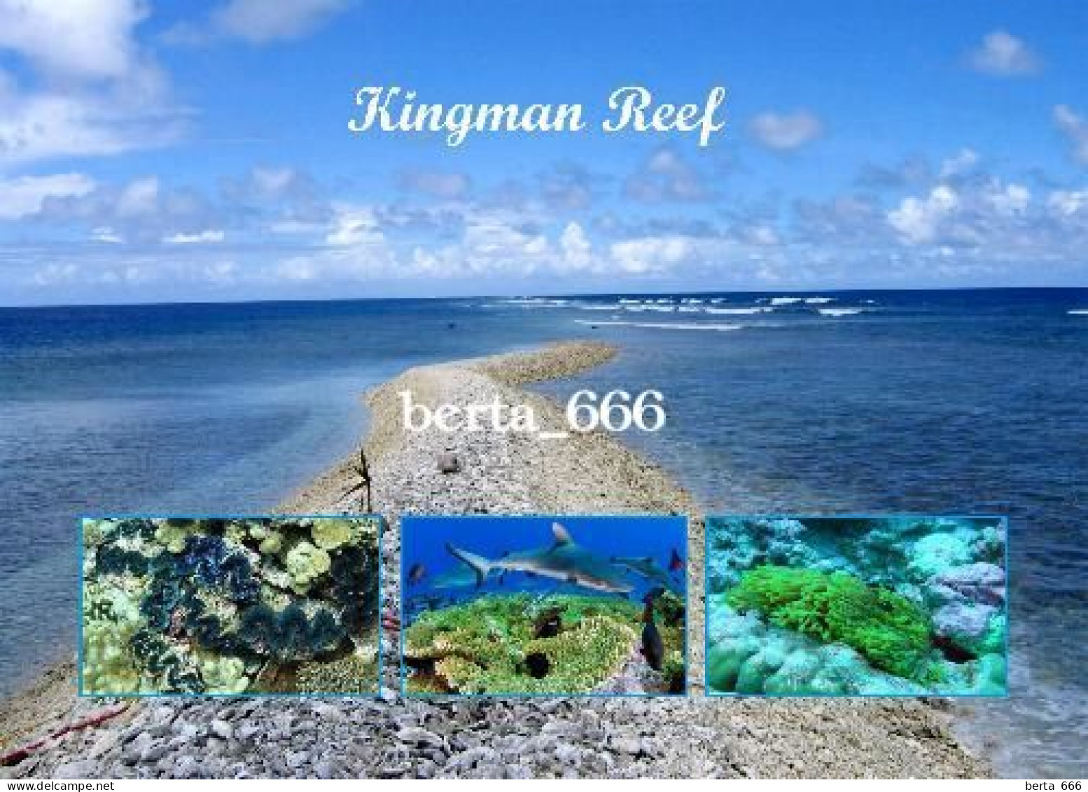 United States Kingman Reef Pacific Ocean New Postcard - Altri & Non Classificati