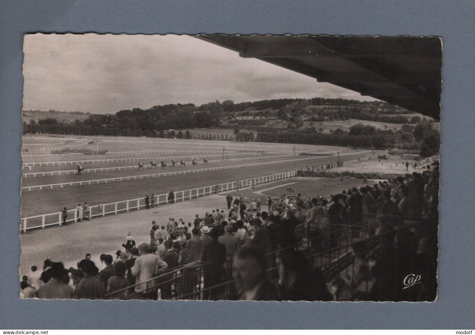 CPSM Dentelée - 14 - Deauville - La Plage Fleurie - Le Champ De Courses De Clairefontaine - Animée - Circulée En 1953 - Dives