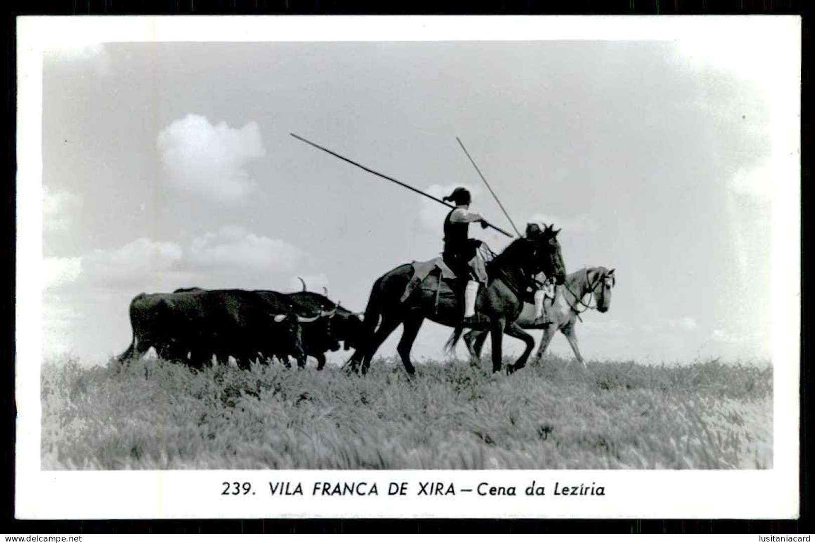 VILA FRANCA DE XIRA - COSTUMES - Cena Da Lezíria ( Ed. Postalfoto Nº 239/ Cliché José Palha) Carte Postale - Lisboa