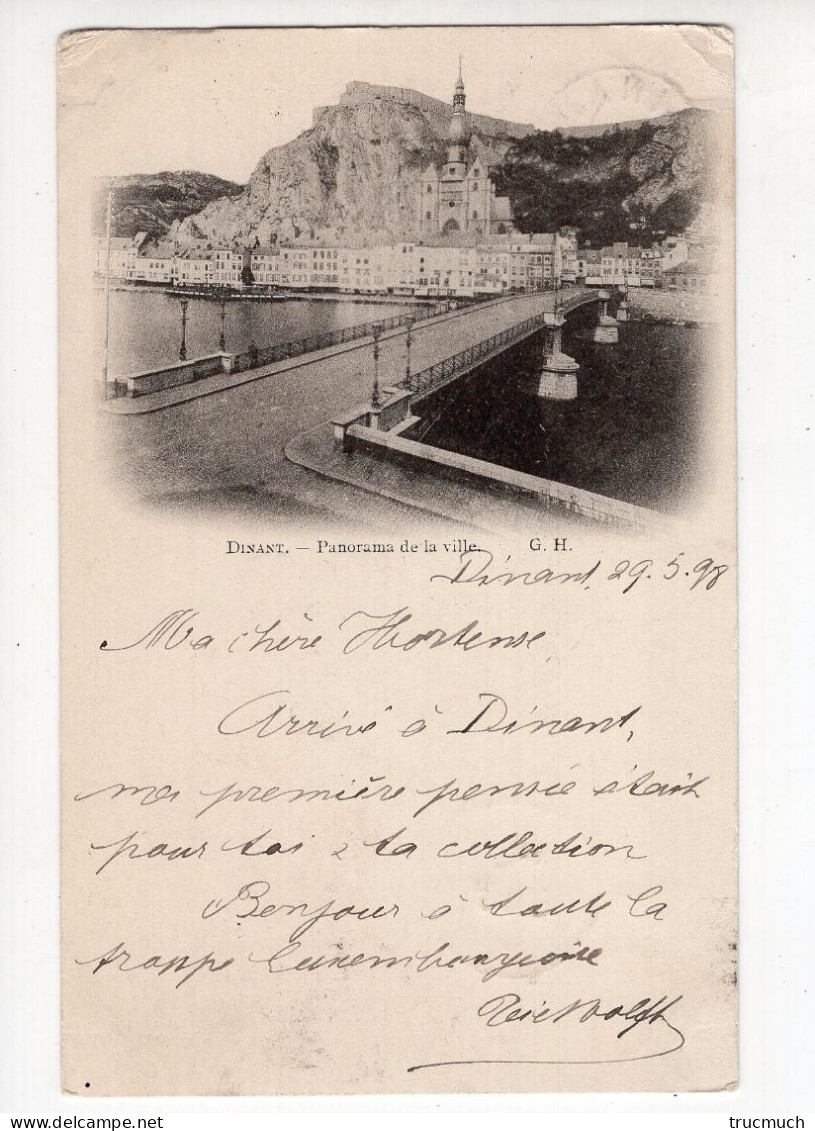 114 - DINANT - Panorama De La Ville *1898* - Dinant