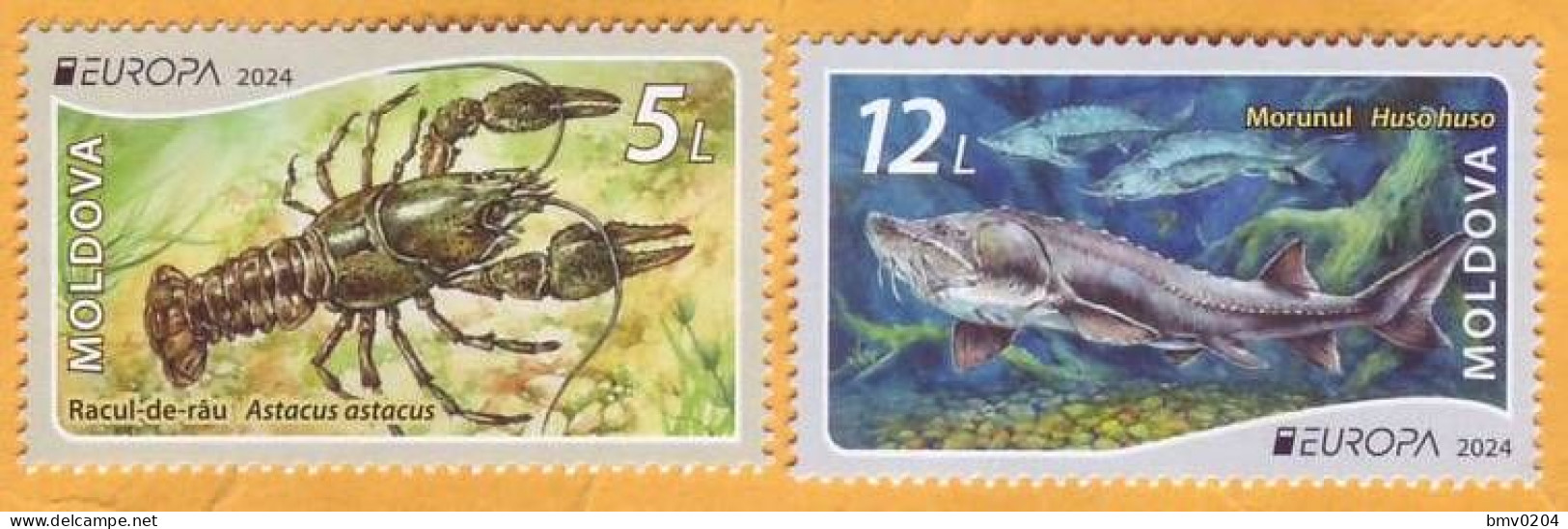 2024 Moldova Europa 2024. Underwater Flora And Fauna. Fish, Beluga, Crayfish - Moldavia