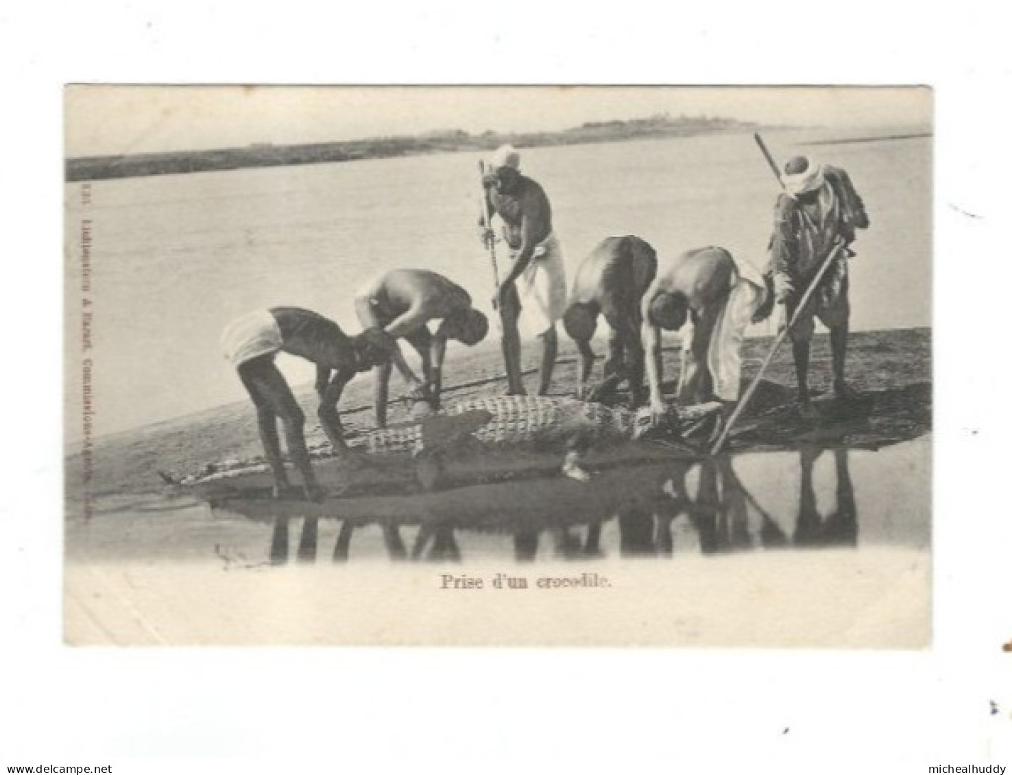 POSTCARD EGYPT  PRISE D'UN CROCODILE - Afrique