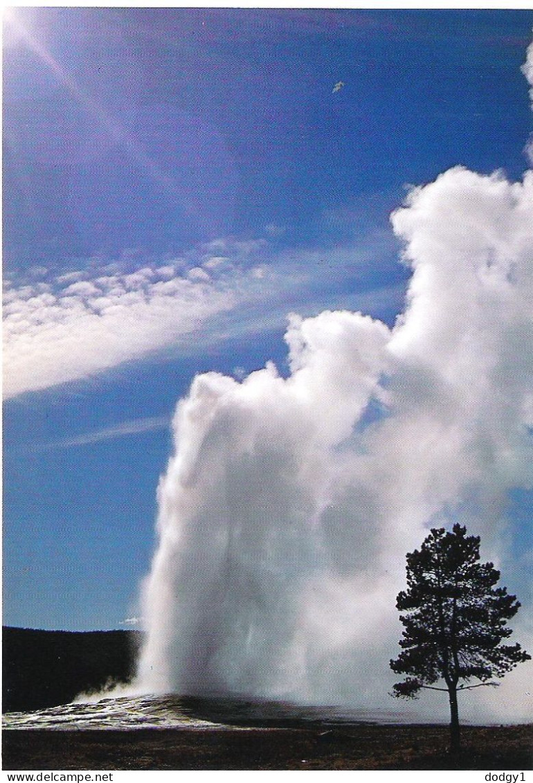 OLD FAITHFUL GEYSER, YELLOWSTONE, WYOMING, UNITED STATES. UNUSED  POSTCARD Mm1 - Yellowstone