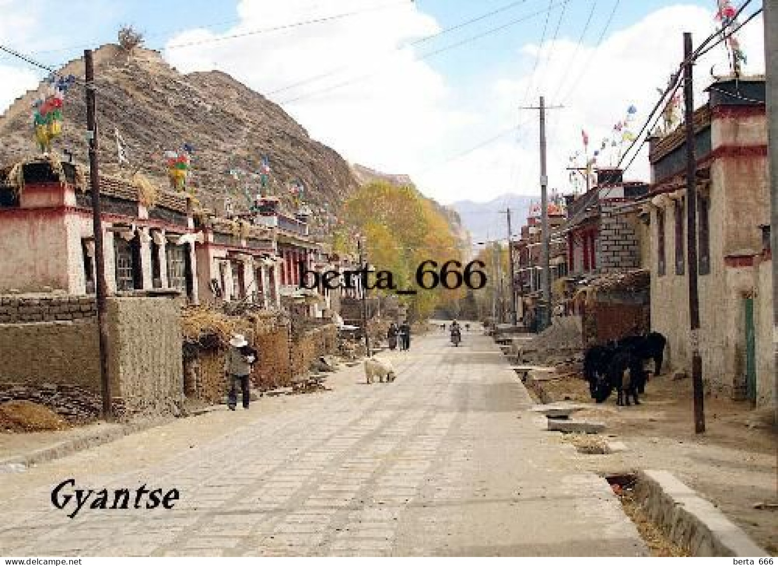 Tibet Gyantse Street View New Postcard - Tíbet