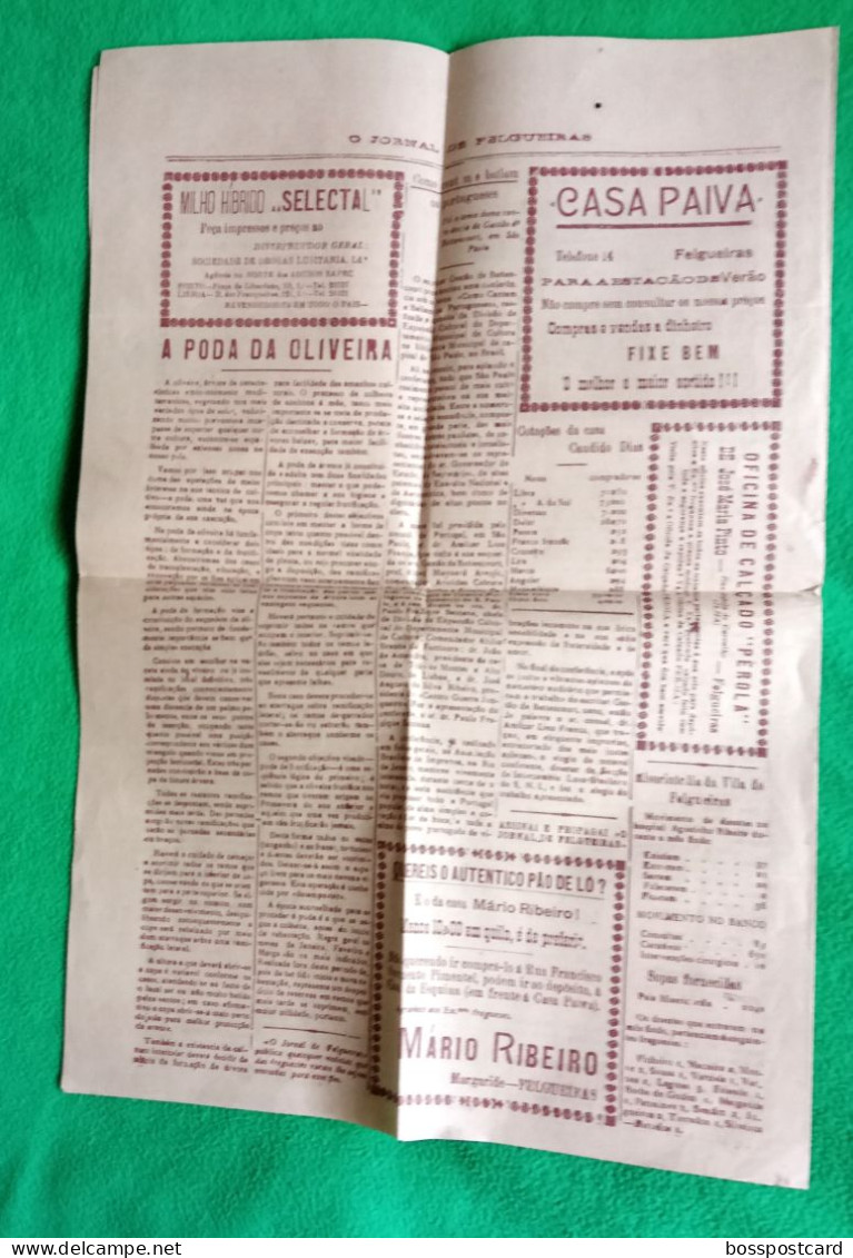 Felgueiras - O Jornal De Felgueiras De Março De 1850 - Imprensa. Porto. Portugal - Informations Générales