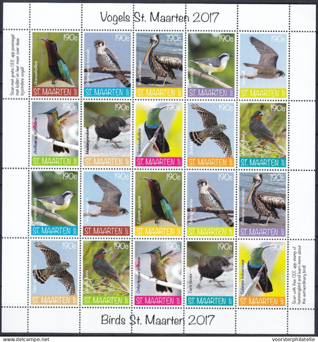 ST. MAARTEN 2017 BIRDS OF ST MAARTEN VOGELS OISEAUX MNH ** VERY FINE - Curazao, Antillas Holandesas, Aruba