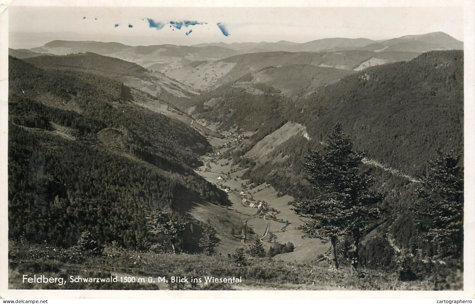 Germany Feldberg Schwarzwald Blick Ins Wiesental - Feldberg