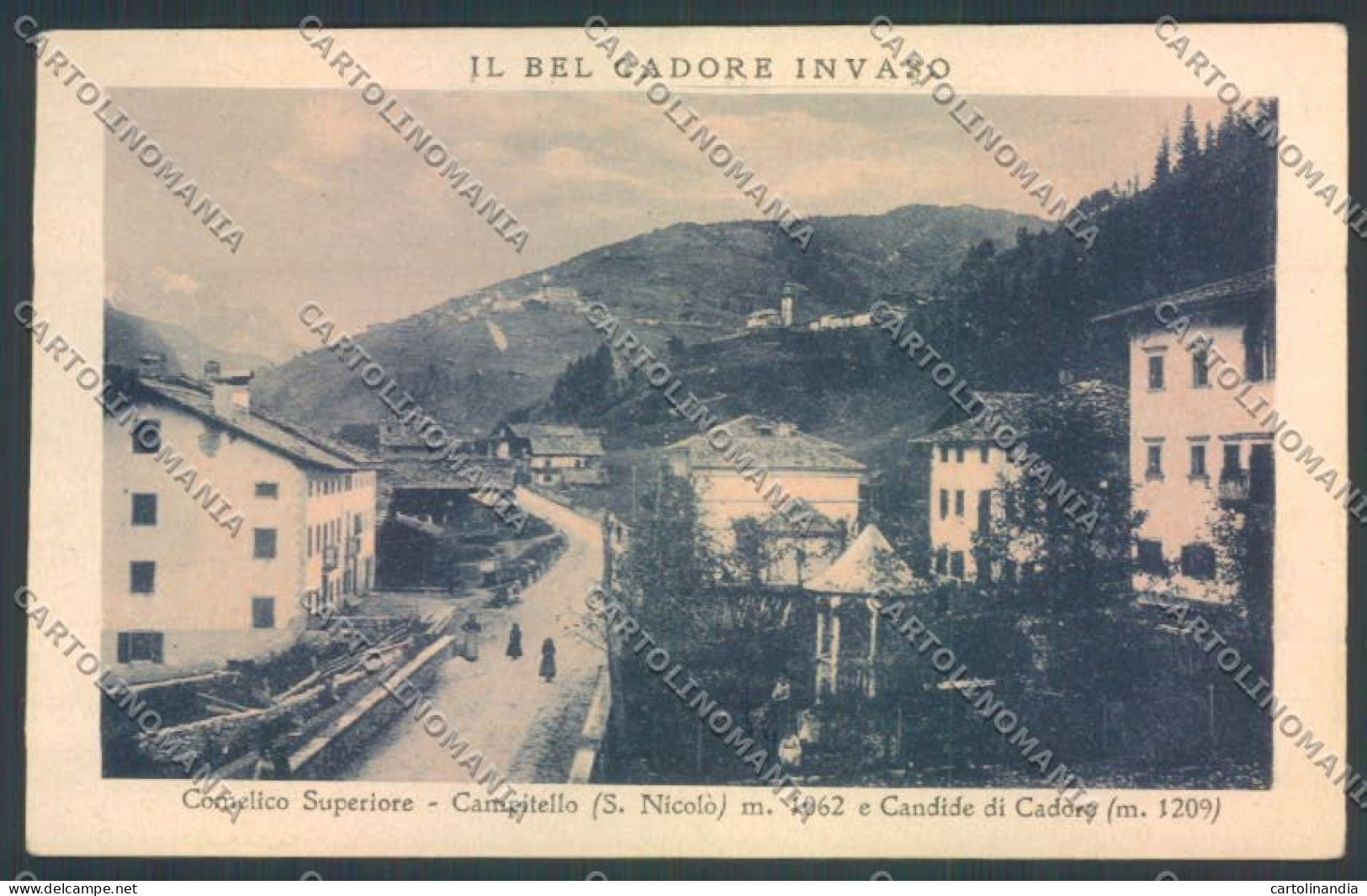 Belluno Comelico Superiore Cartolina RB5128 - Belluno